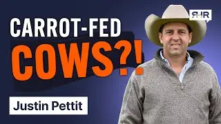 How Carrot-Fed Beef is Revolutionizing Ranching and Your Health ft Justin Pettit&nbsp;| Ep. 143