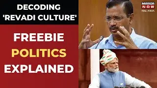 'Revadi Culture' Explained: All the controversies over AAP's freebies
