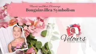 Bougainvillea Symbolism | Flowers And Their Meanings