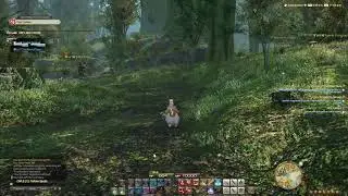 Fatter Cat Mount