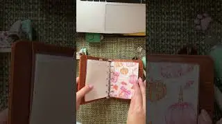 Начало осени в моем mini #planner #cute #ежедневник #autumn #plannerlove