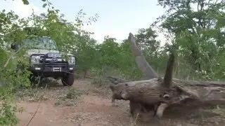 Discover Zimbabwe with a 4x4 Self Drive - Bushlore video shared by Inspiration Zimbabwe