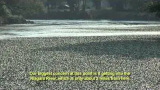The Eradication and Control of Water Chestnut