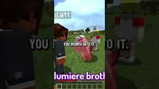 Мод Morph для Minecraft