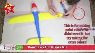 Top Toys: Paint and Fly Glider Kit