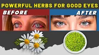 Improve Vision Quickly By Just Eating One Of These Powerful Herbs