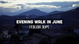 Evening walk in June  |  Italian Alps