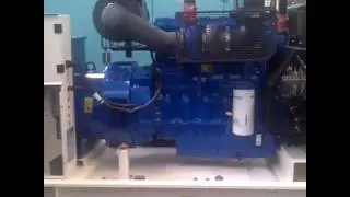 Test Loadbank FG Wilson 250 kVA Open