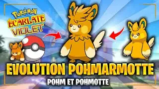 EVOLUTION de POHM,POHMOTTE en POHMARMOTTE sur Pok&eacute;mon ECARLATE & VIOLET (ASTUCE).