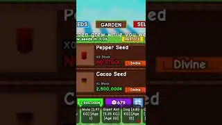 w stock for the day #growagarden #growagardenroblox #roblox