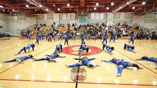 DIAMOND DIVAS OD INDY | Elite FIELDSHOW | 3DOC | Rumble in the Jungle | Dance Competition