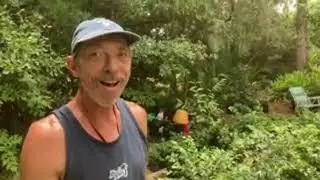 Clark&rsquo;s Patch of Rare Fruiting Plants at Flying Fox Fruits
