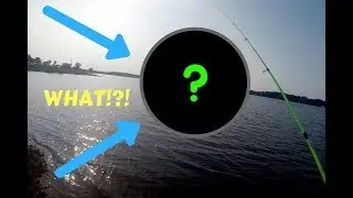 WHAT did I do?!? (Fishing FAIL)