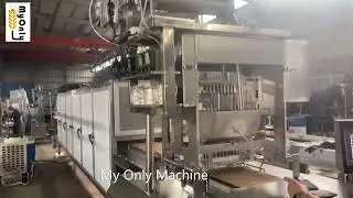 2 Colors bear and fruit gummy process -- My Only Machine Co,.ltd