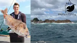 Catching MONSTER Snapper In ULTRA Shallow Water
