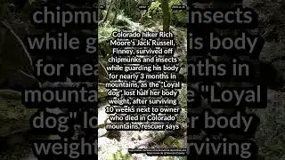 Colorado hiker Rich Moore's Jack Russell, Finney, survived off chipmunks and insects for 3 months