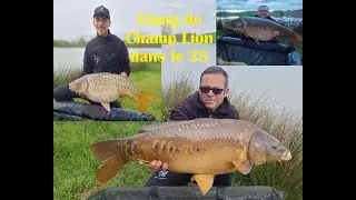 P&egrave;che &agrave; la carpe Dream Carpfishing Sur l'Etang de Champ Lion en Ille-et-Vilaine dans le 35