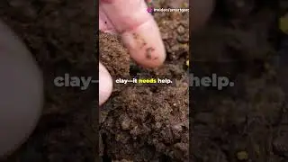 The Spoon Test: Is Your Soil Healthy? #SoilTest #DIYGardening #SmartGarden #SoilCheck