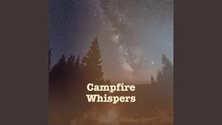 Beneath the Starlit Sky