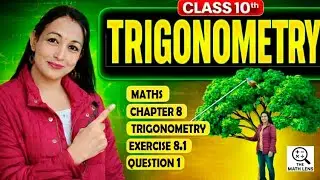 Class 10 Maths Ex 8.1 Q1 | Trigonometry | NCERT Solutions | CBSE 2025 | The Math Lens 📐