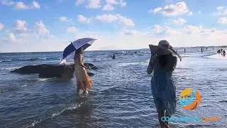 Coco Beachcamp Lagi - Like a Paradise