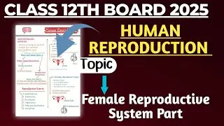 Human Reproduction Class 12th|| Female Reproductive System in Odia || CHSE/CBSE BOARD