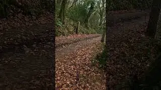 when the leader doesn't know where he's going #greenlanes #adventure #wrongturn