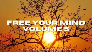 Free Your Mind Meditation Music (Volume 5)