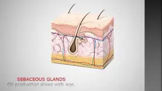 AGING SKIN