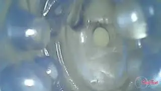 Fleshlight Fleshskins Grip Blue Ice texture &ndash; inside cam [720p]