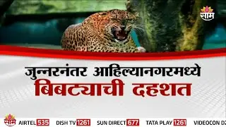 Special Report |जुन्नरनंतर आहिल्यानगरमध्ये बिबट्याची दहशत  | Junnar
