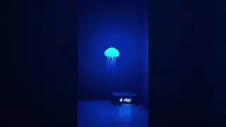 Let the soft glow guard your dream 🌙 #shorts #jellyfishlamp #roomdecor #aestheticroomdecor #cozy