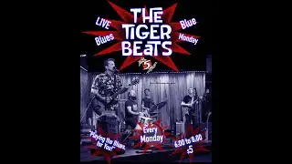 The Tiger Beats, Live at The 5 Spot