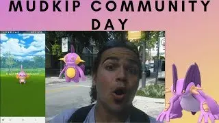 Mudkip Community Day