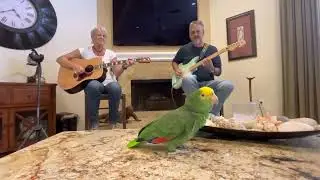 Sweet Home Alabama (feat. Lisa Rott)
