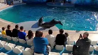 Dolphin Land Aqua Land Antalya 2022