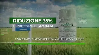 NUTRIBIO N | Rivoluziona la fertilizzazione con azotofissatori e micorrize per convenzionale e bio