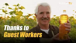 Malaysia Palm Oil Output to Benefit from Entry of Foreign Workers | Kontan News