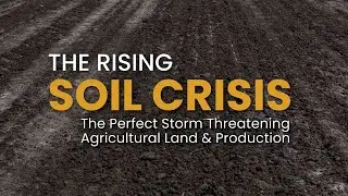 The Rising Soil Crisis: The Perfect Storm Threatening Agricultural Land and Production