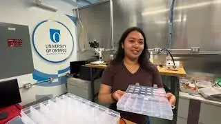Graphene & Super capacitors 