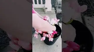 Why have I just thought of doing this now?!?!? Fake flowers for outside? Yes please!