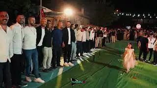 Cemal Yangın - ( Delilo Halaylar - Canlı Performans Düğün Kaydı )