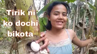 Terik ni ko dobichi bikota Impil Malik jado