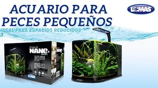 Acuario Nano Bullet 12 litros | Lomas