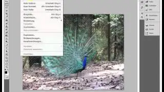 Photoshop Bildqualität verbessern