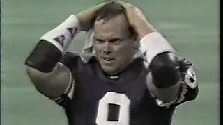 1993 NFC Wildcard Playoff MIN@NYG intro