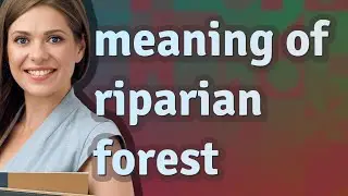 Riparian forest | meaning of Riparian forest