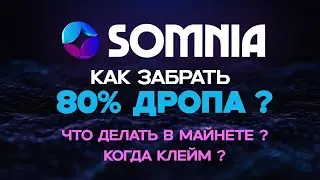 SOMNIA КАК ПОЛУЧИТЬ ТОКЕНЫ В МАЙННЕТЕ? КОГДА ОТКРОЮТ КЛЕЙМ? КАКИЕ ТАСКИ ОБЯЗАТЕЛЬНЫ К ВЫПОЛНЕНИЮ?