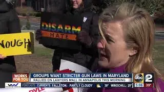 Groups rally on Lawyer&rsquo;s Mall in Annapolis for stricter gun laws in Maryland