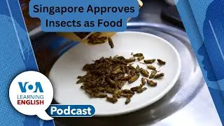 Mpox Spread in Africa, Insects as Food, NASA Rover Possible Microbial Life